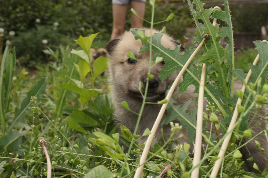 DSC03877.JPG
