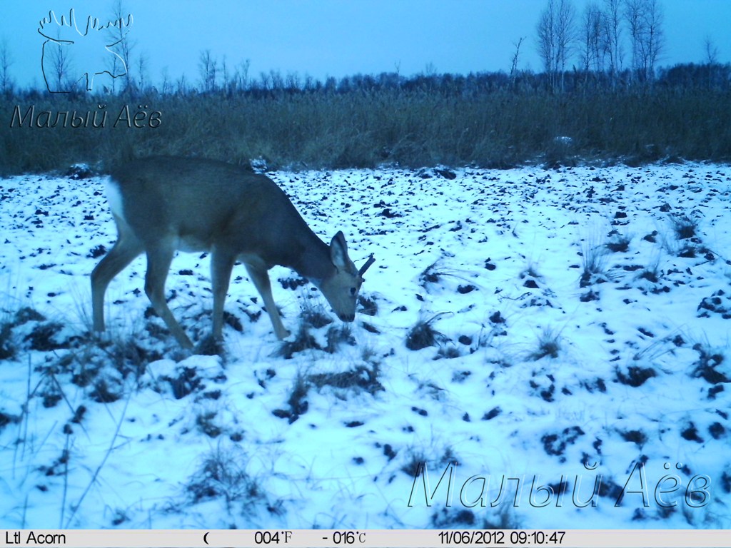 06112012 1.jpg