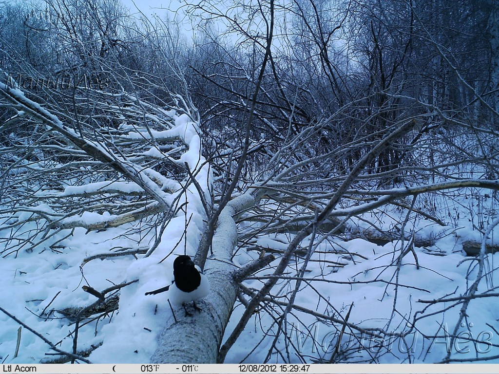 08122012 1.jpg