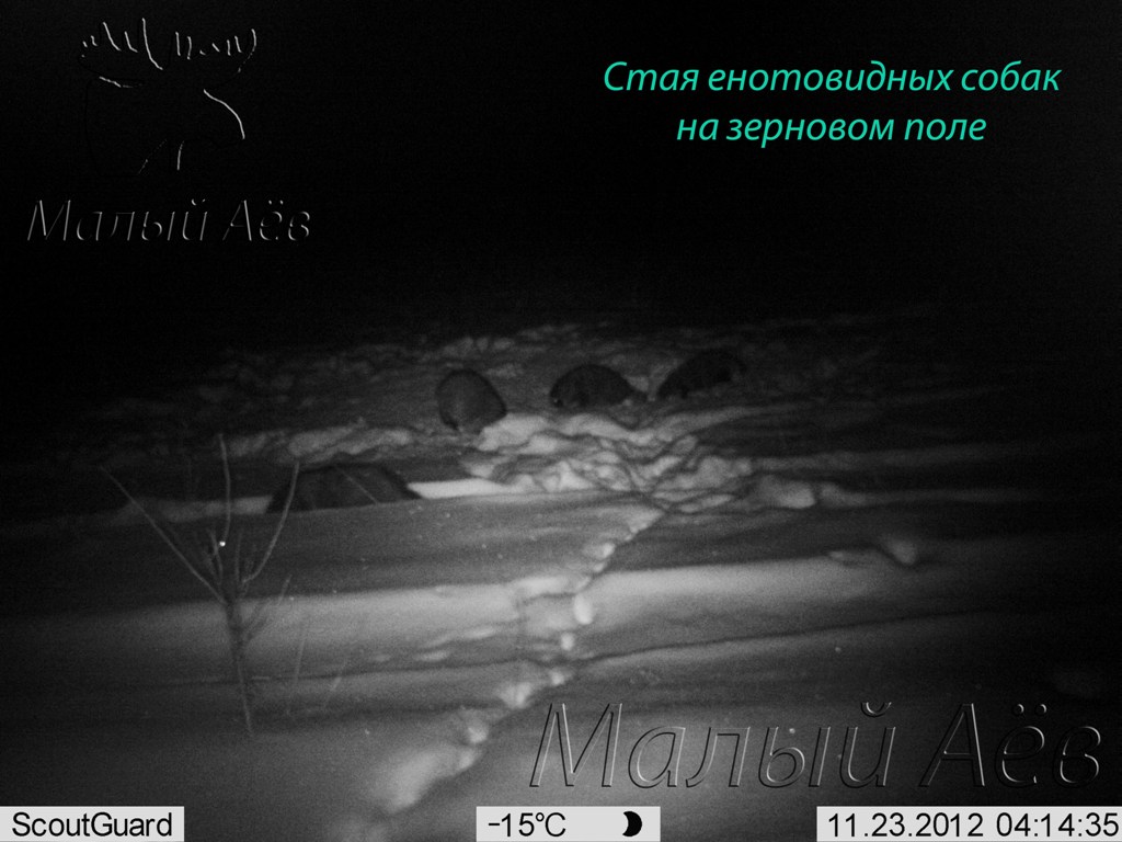 23112012 1_001.jpg