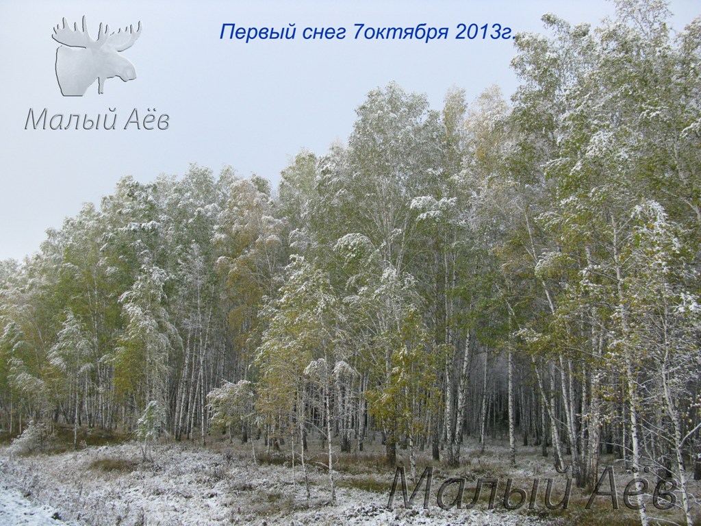 Первый снег 7октября 2013г