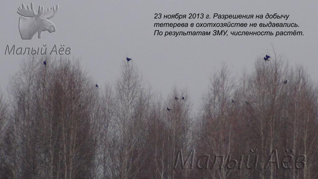 23ноября2013
