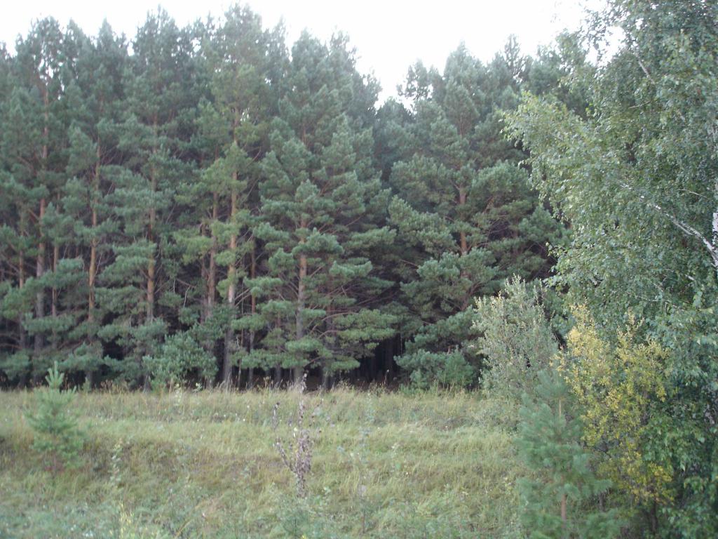 DSC00680