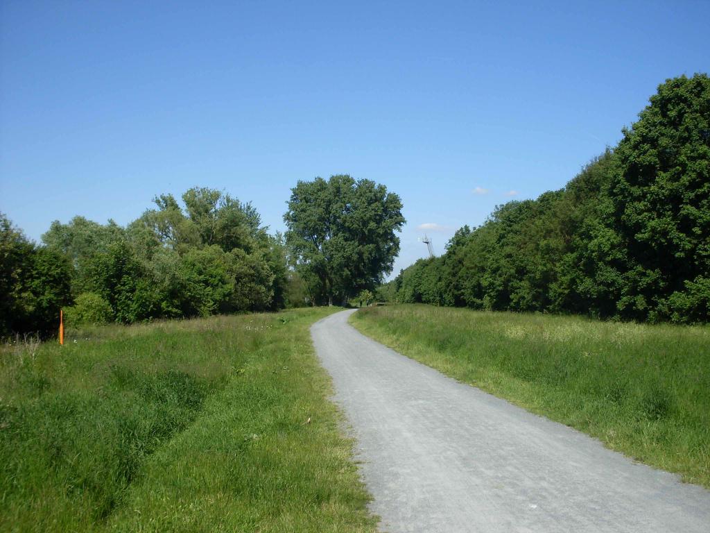 SDC10034