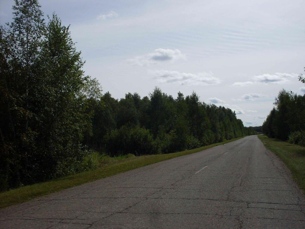 SDC10789