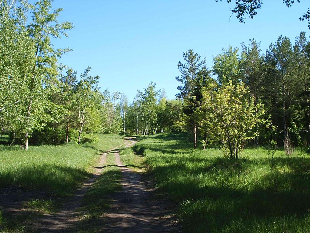 при0441