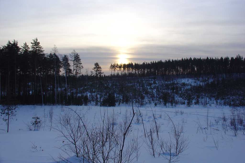DSC06578