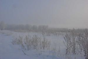 DSC06611
