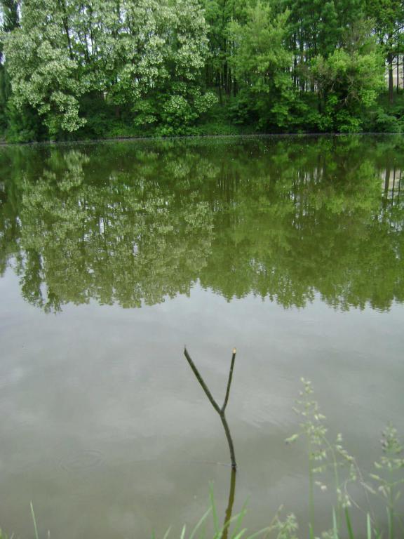 dsc03044-1