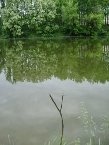 dsc03044-1