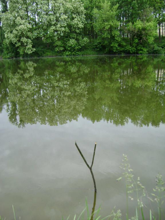 dsc03044-1