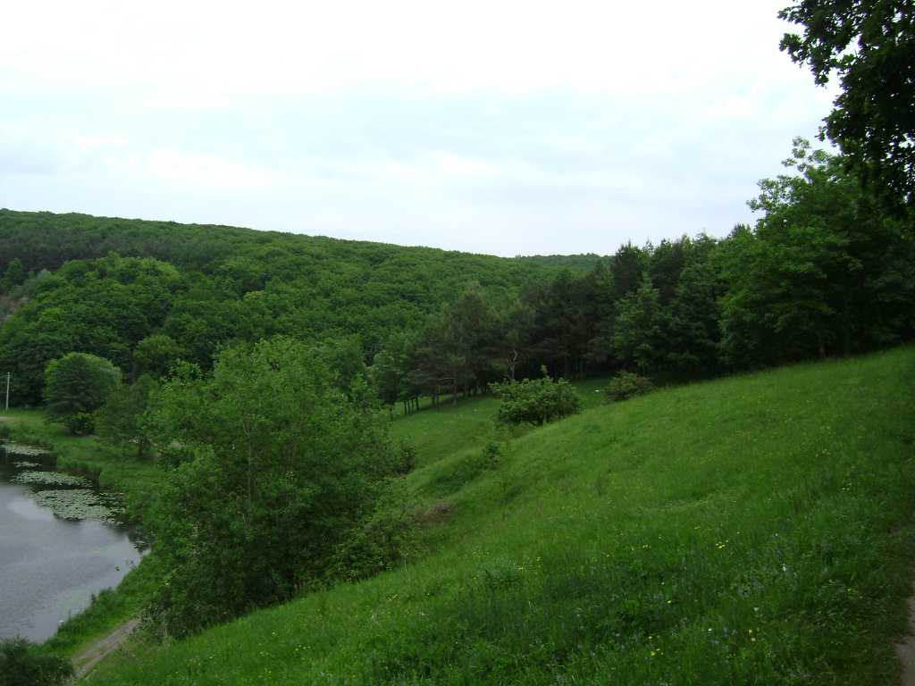 dsc03165