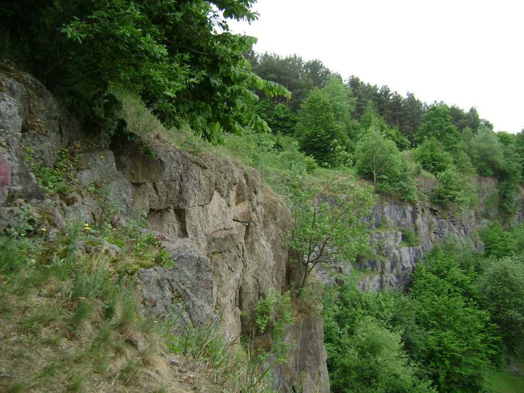 dsc03211