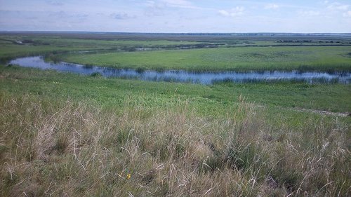 IMG_20160703_092830.jpg