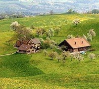 Аватара пользователя