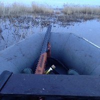 Аватара пользователя