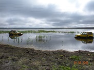 Аватара пользователя