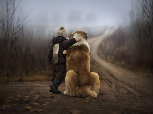 shumilova02-800x598.jpg