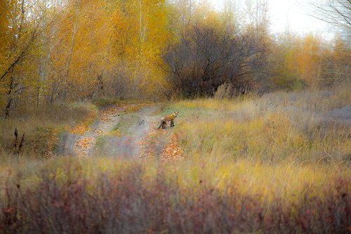 IMG_1527.jpg
