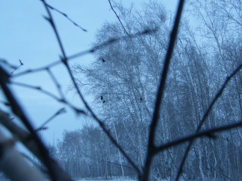DSCF2073.JPG