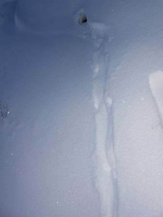 DSCN0609.JPG
