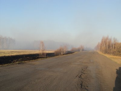DSC00548.JPG