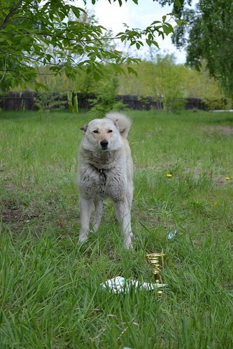 DSC_0037.JPG