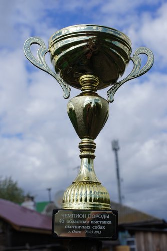 DSC00042.JPG