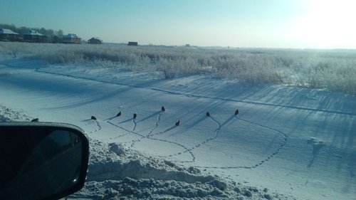 IMG_20160106_115656.jpg