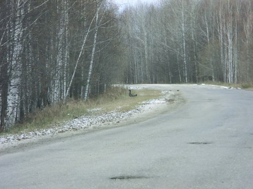 CIMG0070.JPG