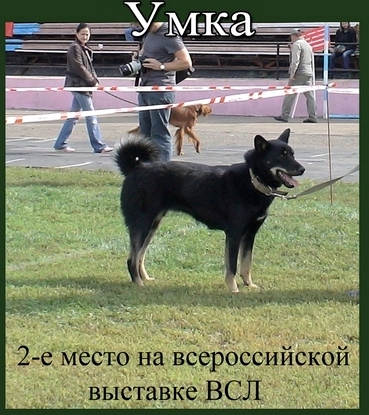 pirat_umka.jpg