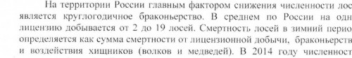 2015 год.jpg