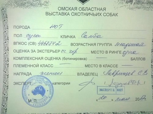 IMG_5739 (1).JPG