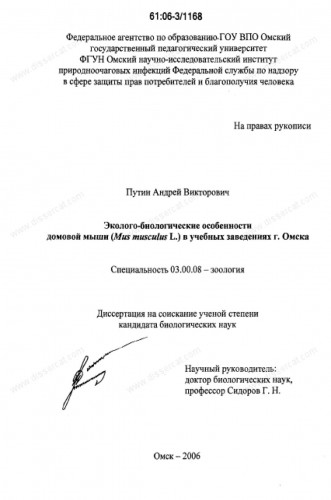 Мышь серая.jpg
