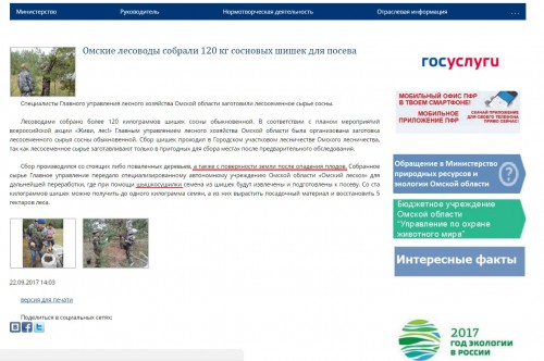 сосны.jpg