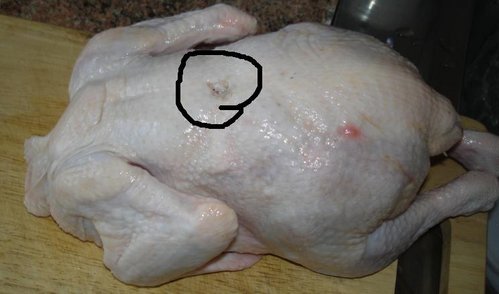 2.JPG