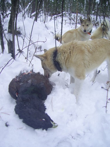 PIC_0054.JPG