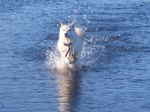 водные процедуры.jpg