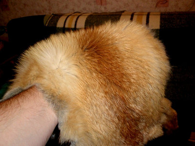 PC091634.JPG