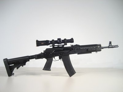 saiga4.jpg