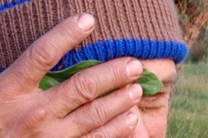 P9050509s.jpg
