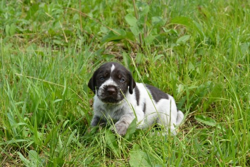 DSC_7870_Easy-Resize.com.jpg