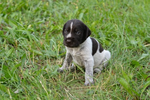 DSC_7887_Easy-Resize.com.jpg