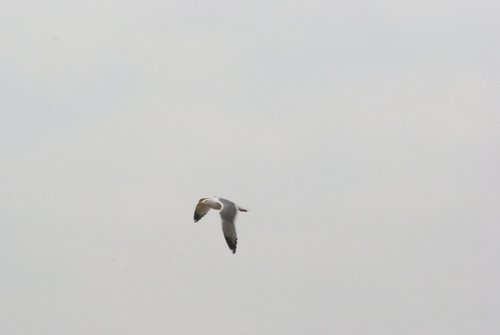 DSC05443.JPG
