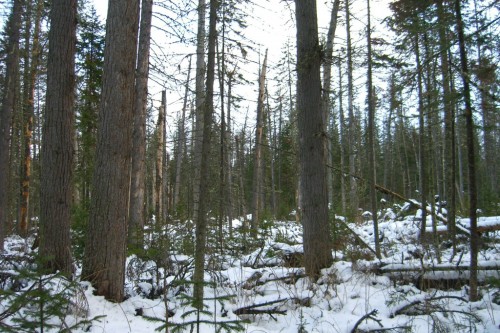 106.jpg