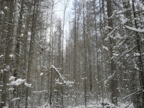 SDC10480.JPG