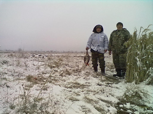 29032012065.jpg