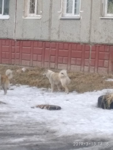 IMG-20190314-WA0003.jpg