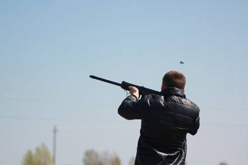 IMG_2156.jpg