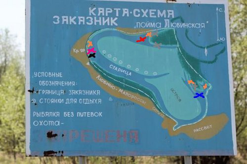 IMG_2713.jpg